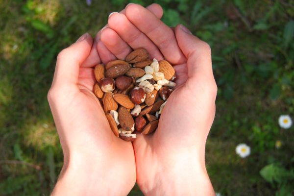 Bổ sung các loại hạt dinh dưỡng như thế nào là đúng cách?